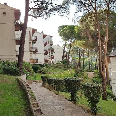 San Martín de Valdeiglesias Casa Pini 아파트 외부 사진